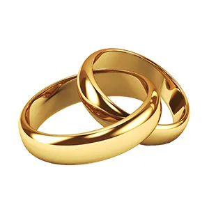 lightgreen-mouse-860447.hostingersite.com